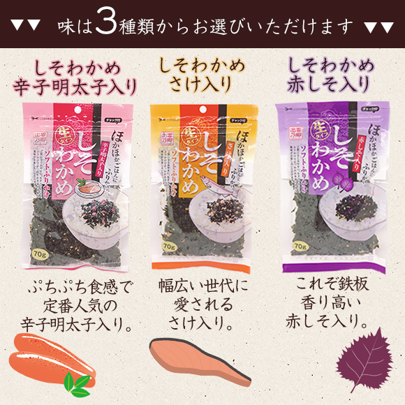 わかめふりかけ 4パック 美食の駅 巌流庵official Shop